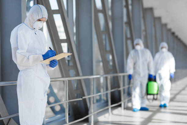 Mold Odor Removal Services in Gateway, FL