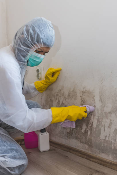 Best Mold Removal for HVAC Installations  in Gateway, FL