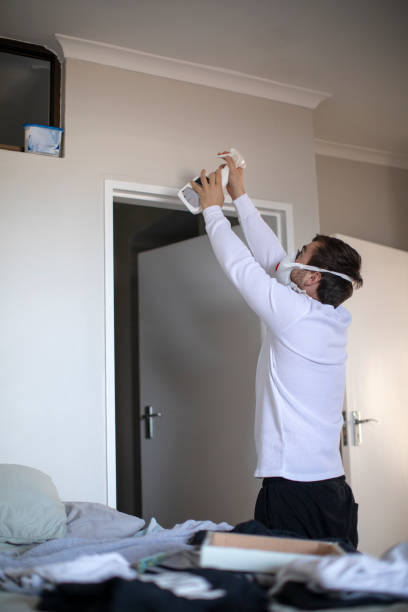 Best Asbestos and Lead Testing During Mold Inspection  in Gateway, FL