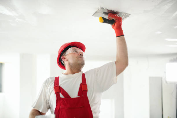 Mold Documentation for Insurance Claims in Gateway, FL