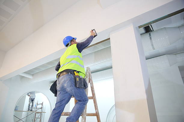 Professional Mold Removal in Gateway, FL
